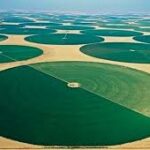 La coopération algéro-italienne se diversifie et s&rsquo;étend à d&rsquo;autres domaines que l&rsquo;énergie